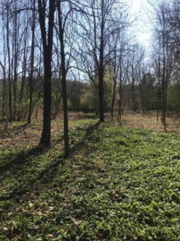 Immobile in asta di 18050 m² in vendita a Poggibonsi - Foto 5
