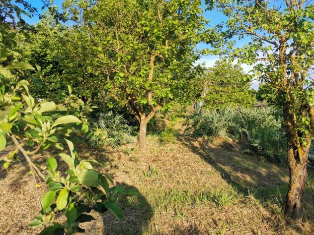 Terreno agricolo in vendita a Poggibonsi 3500 mq Rif: 1335508 - Foto 8