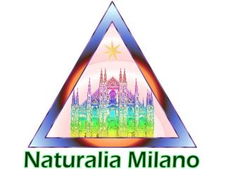 Lezioni, corsi olistici-energetici, yoga, tai-chi-chuan,sviluppo energie-psiche
