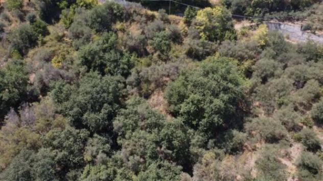 Immobile in asta di 920 m² in vendita a Merì - Foto 7